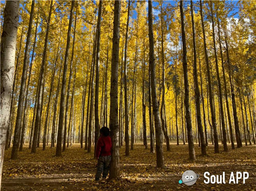 因受追捧而下載激增，Soul國慶登上App Store社交榜首