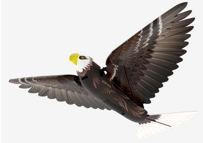 漢王仿生撲翼鳥Go Go Bird1000亮相上海玩博會，與萌娃共享仿生AI盛宴！