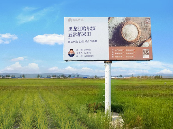 網(wǎng)易嚴(yán)選開售五常有機(jī)稻花香新米，正宗原產(chǎn)地好味，鎖鮮送達(dá)