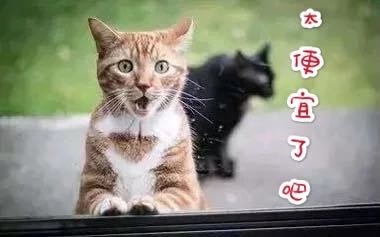 1399元到手蘋果AirPods Pro耳機(jī)，蘇寧雙十一價(jià)格比JD便宜400元！