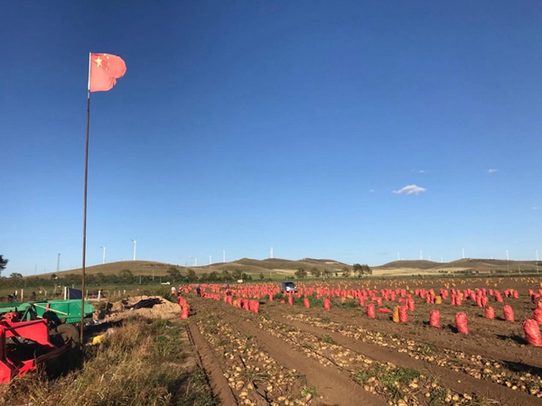 不壓車了，賺得更多了！貨卡幫農(nóng)共享掛車引批發(fā)商和卡車司機熱捧