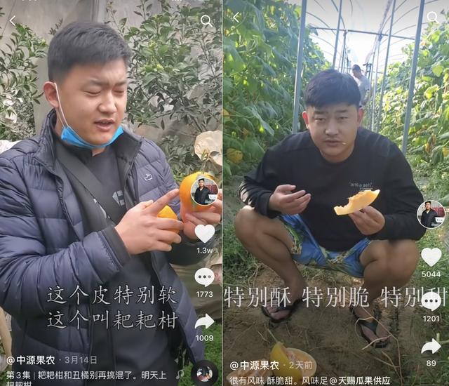 90后河南小伙抖音直播賣水果，10秒鐘賣光1萬箱愛媛，搶不到還要給他差評