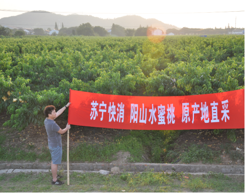 五農(nóng)民十天賣掉400萬(wàn)枚雞蛋 蘇寧賦能供應(yīng)鏈盤活萬(wàn)億市場(chǎng)