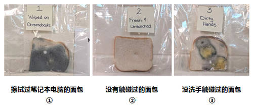 寒冬有艾詩摩爾掌中衛(wèi)士護(hù)手儀，為健康護(hù)航無懼手傷！