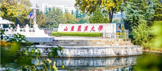 云之翼云桌面 助力山東農(nóng)大云教學(xué)與實(shí)訓(xùn)平臺建設(shè)