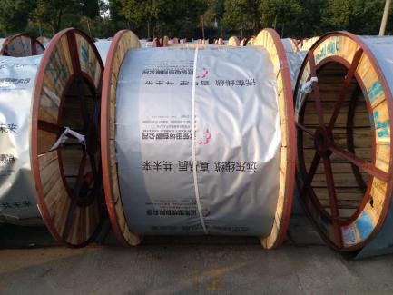 遠(yuǎn)東控股為白鶴助飛，白鶴灘水電站中的遠(yuǎn)東力量