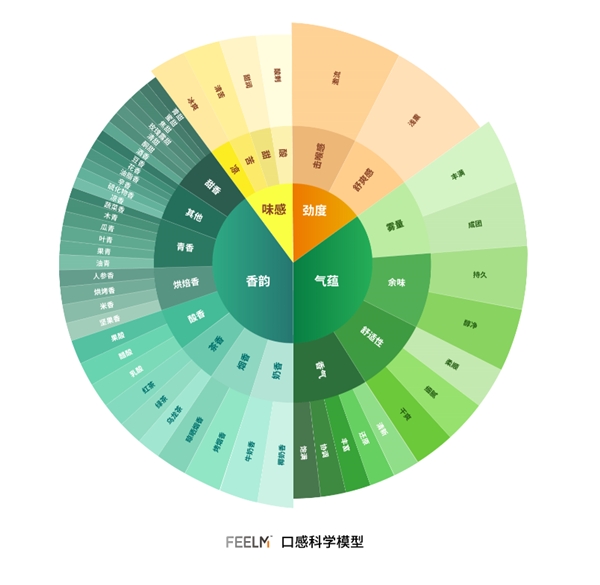 穿越口感秘境，F(xiàn)EELM打造口感科學(xué)體系