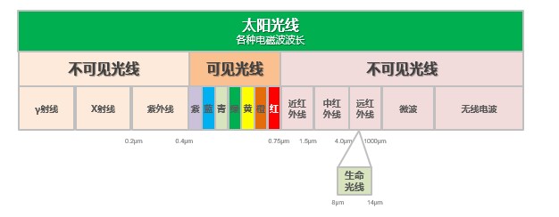 遠(yuǎn)紅外電飯煲成為新趨勢(shì)，蘇泊爾推動(dòng)行業(yè)升級(jí)
