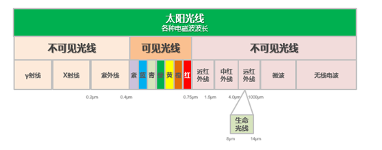 電飯煲只有日本的好？蘇泊爾電飯煲更懂中國(guó)人的胃