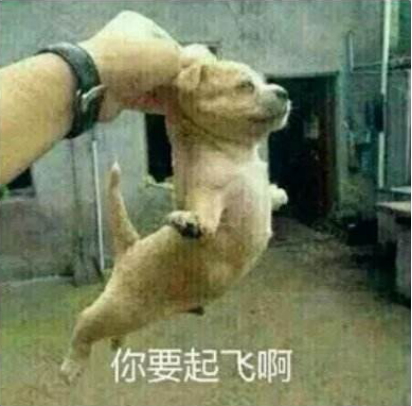 成人線(xiàn)上興趣班成新亮點(diǎn)，在線(xiàn)教育行業(yè)全面開(kāi)花
