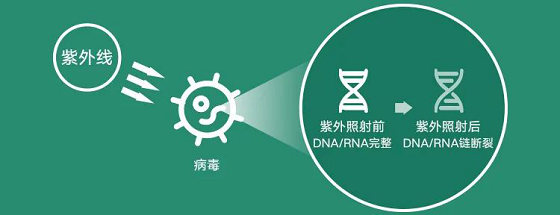 華為要賣空氣了？坐在北京也能享受呼倫貝爾的清新