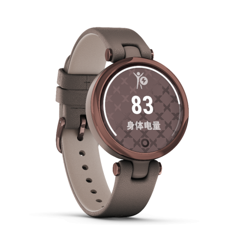 Garmin佳明布局女性市場，攜新品Lily優(yōu)雅腕表上市