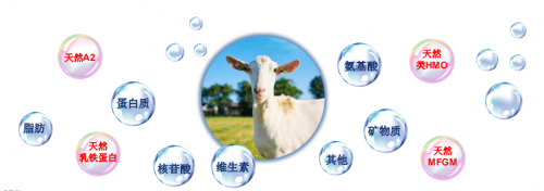 嬰兒奶粉排行榜十強(qiáng)，佳貝艾特再入圍盡顯大牌風(fēng)范