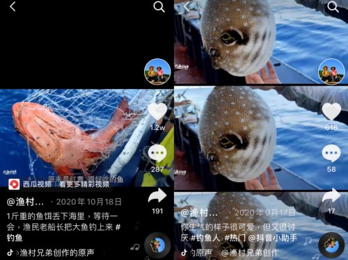 廣東“漁村兄弟”抖音追夢，靠拍海釣短視頻買房買車