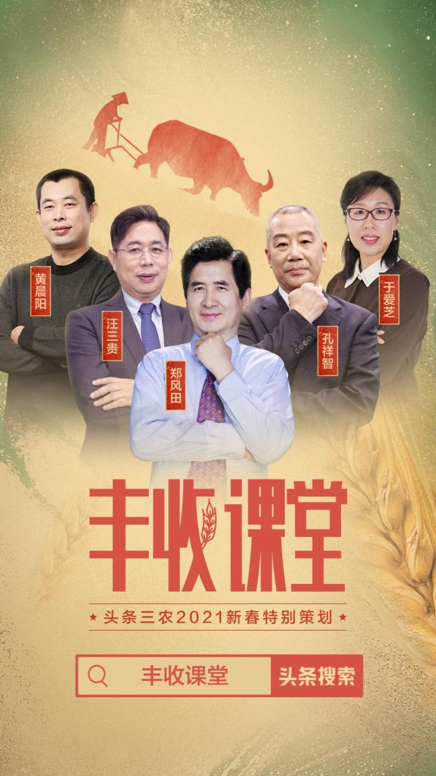 聚焦2020年度三農(nóng)關鍵詞，頭條上線新春特別策劃《豐收課堂》