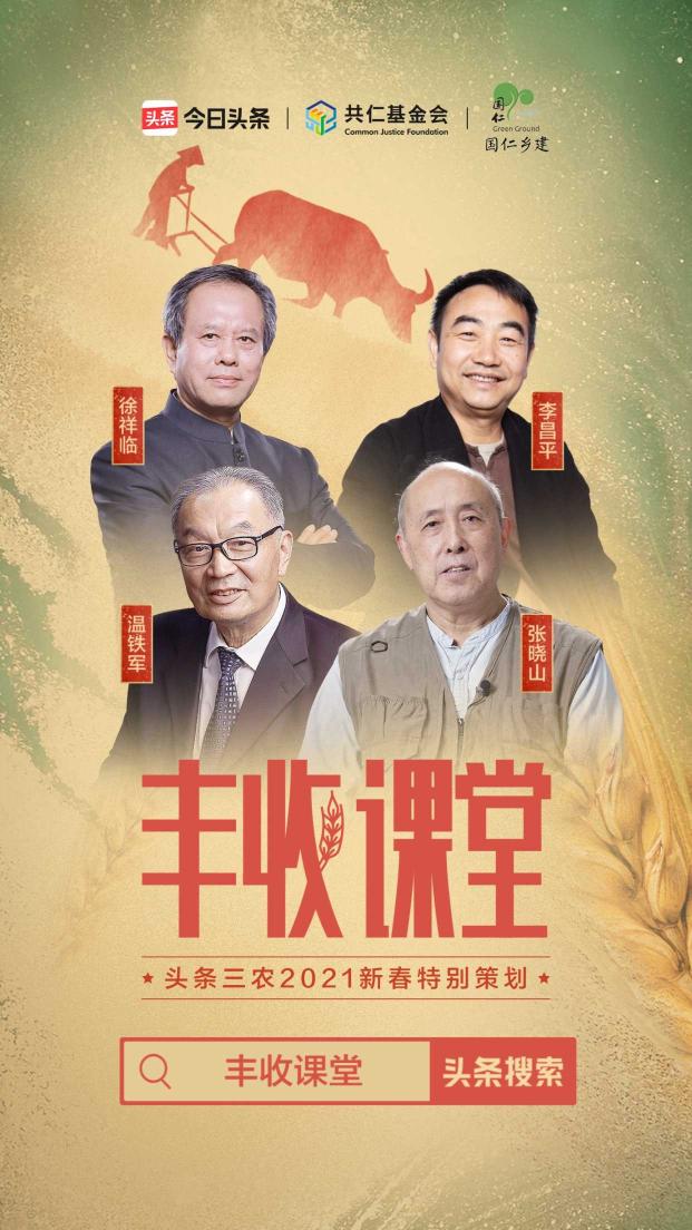 聚焦2020年度三農(nóng)關鍵詞，頭條上線新春特別策劃《豐收課堂》