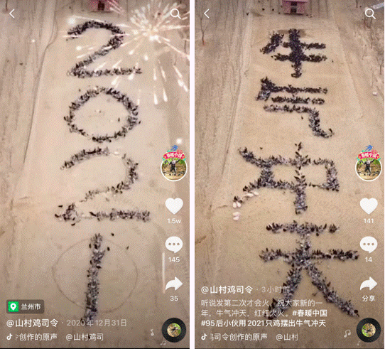 95后小伙攜雞仔擺出“牛氣沖天”造型 在抖音向全國(guó)網(wǎng)友拜年