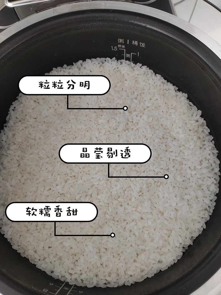 我們對蘇泊爾電飯煲進行了評測：顏值當?shù)?實力不俗