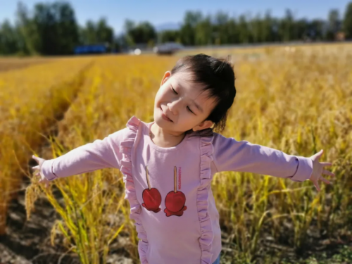 班主任媽媽的首選 ：“豌豆思維是我報(bào)過(guò)最好的網(wǎng)課”