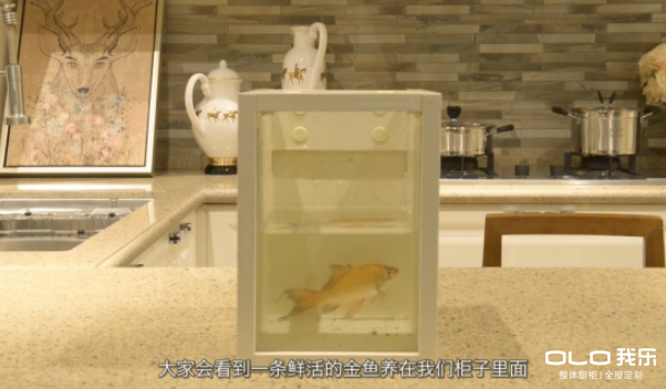 裝修，買(mǎi)我樂(lè)家居全屋定制？以下三點(diǎn)告訴你怎么樣