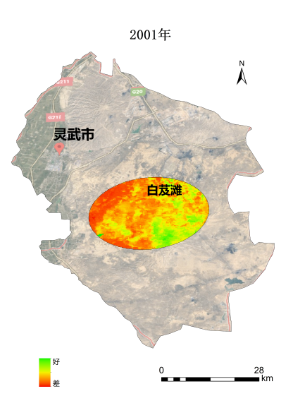 植樹(shù)節(jié)添新綠，平安科技展示“百萬(wàn)植樹(shù)計(jì)劃”階段性成果