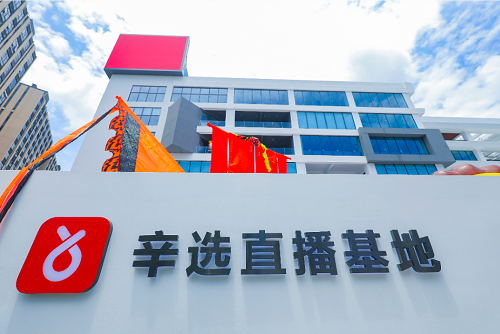 辛巴透露辛選2021年規(guī)劃和調(diào)整方向：規(guī)范化、專業(yè)化、去辛巴化