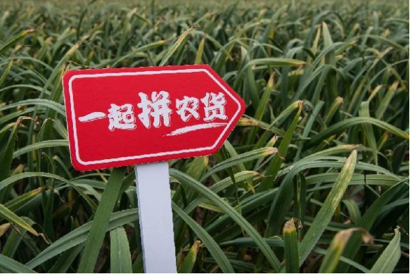年豐大當家：為了每個家庭的品質生活！