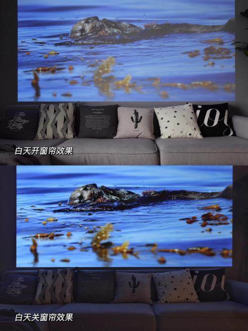 堅果J10 vs大眼橙X10Pro，雙十對決，誰的體驗(yàn)佳？