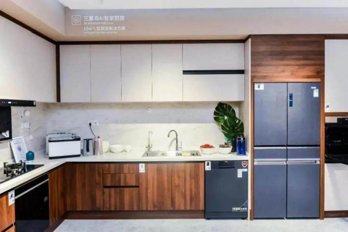 2021冰箱市場：高端、場景成行業(yè)兩大“新賽點(diǎn)”