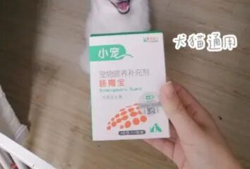 開(kāi)心狗娃家中常備的寵物專(zhuān)用益生菌——小寵腸胃寶