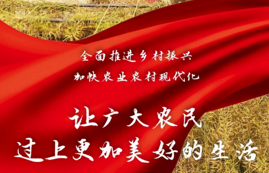 鄉(xiāng)村振興 如何破局？ 廣藥集團(tuán)旗下王老吉刺檸吉交出這樣一份答卷