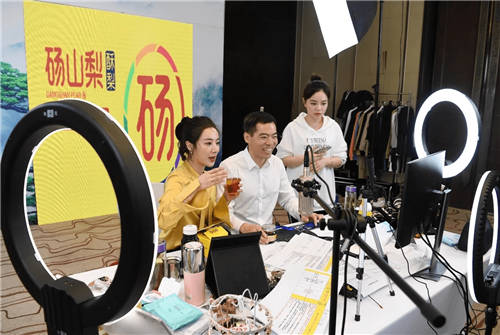 上架就被秒空！“薇婭魅力中國行”再次走進(jìn)安徽，直播引導(dǎo)成交額超4486萬元
