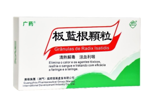 “科技+農(nóng)戶+企業(yè)”，廣藥集團板藍(lán)根公益關(guān)愛不停歇