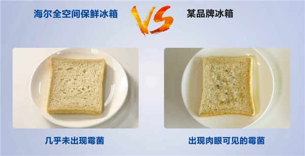 除農殘、去異味等，誰家的冰箱最有效？五組實驗給出答案！