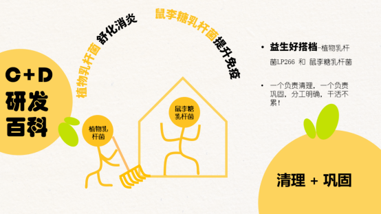“益生元+益生菌”雙配方，C+D Nosh一口餅刷爆達(dá)人下午茶