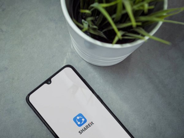 穿越周期的不確定性，茄子科技SHAREit Group按下出海增長加速鍵