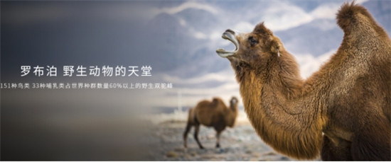 護(hù)航國家任務(wù) 長城炮護(hù)航2021羅布泊科考正式出征！