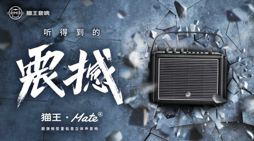 國潮品牌貓王音響攜手胡海泉，推出震撼之聲貓王·Mate系列