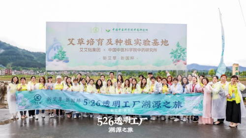 艾艾貼：526透明工廠溯源之旅，感受艾灸文化，體驗(yàn)養(yǎng)生國潮