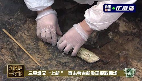 助力三星堆文物存儲，海爾冰箱做了什么？