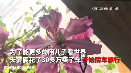 西瓜視頻創(chuàng)作者「三口之家蝸游記」走紅網(wǎng)絡(luò)，六一上演現(xiàn)實(shí)版《飛屋環(huán)游記》