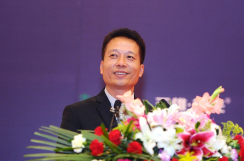 三雄極光：三十光華，再啟新征程