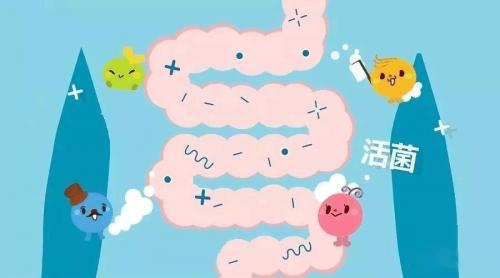 豈幽細(xì)化益生菌領(lǐng)域，精準(zhǔn)守護腸胃健康