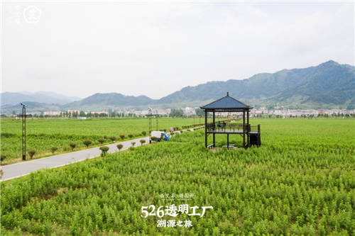 艾艾貼研發(fā)生產(chǎn)實力揭秘，以匠心品質(zhì)傳承國粹精華