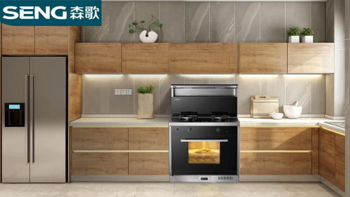 集成灶公認(rèn)10大品牌哪個(gè)好？618大促，森歌集成灶這么買更劃算