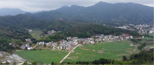 上百個教學點難開藝術課？江西興國縣攜手希沃錄播：全部安排！