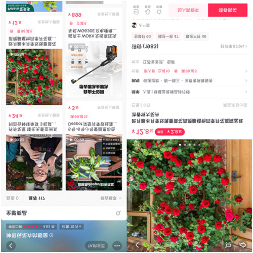 靠“沾花惹草”養(yǎng)家糊口，花卉達(dá)人坤哥在抖音電商用知識(shí)圈粉600萬(wàn)