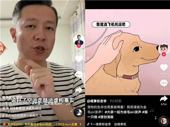 金毛siri托運中死亡，抖音網(wǎng)友發(fā)聲呼吁保護(hù)動物尊重生命
