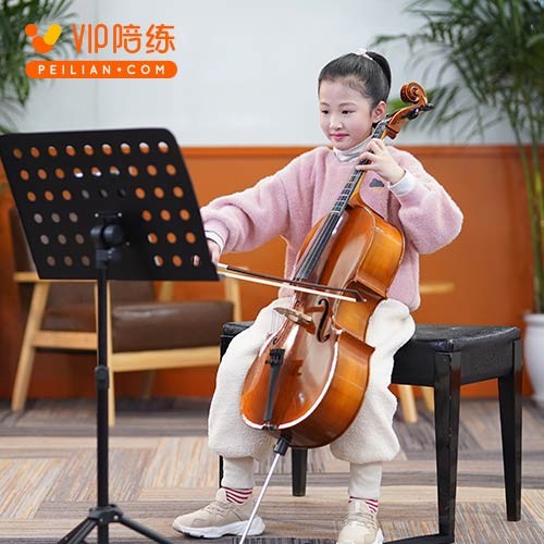 五周年踏浪而來，VIP陪練穩(wěn)步引領(lǐng)在線素質(zhì)教育發(fā)展