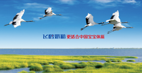 中國排名前十奶粉品牌，分享我選飛鶴奶粉的幾大原因